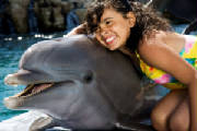 Swin with the Dolphins at Ocean World